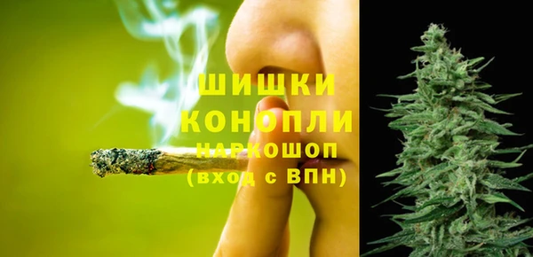 бошки Алексин