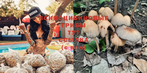 бошки Алексин