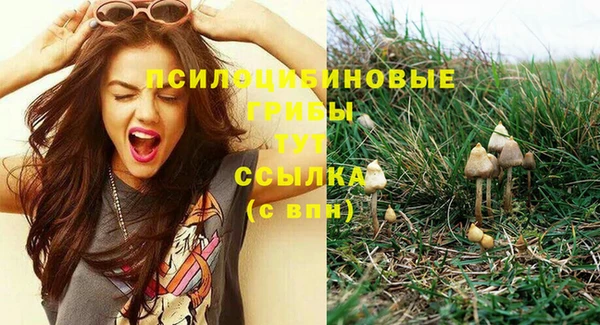крисы Алексеевка