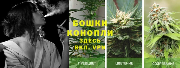 бошки Алексин