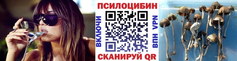 KRAKEN   Чёрмоз  Галлюциногенные грибы мухоморы 
